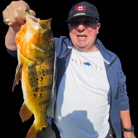 Delray Beach Report Photo 2