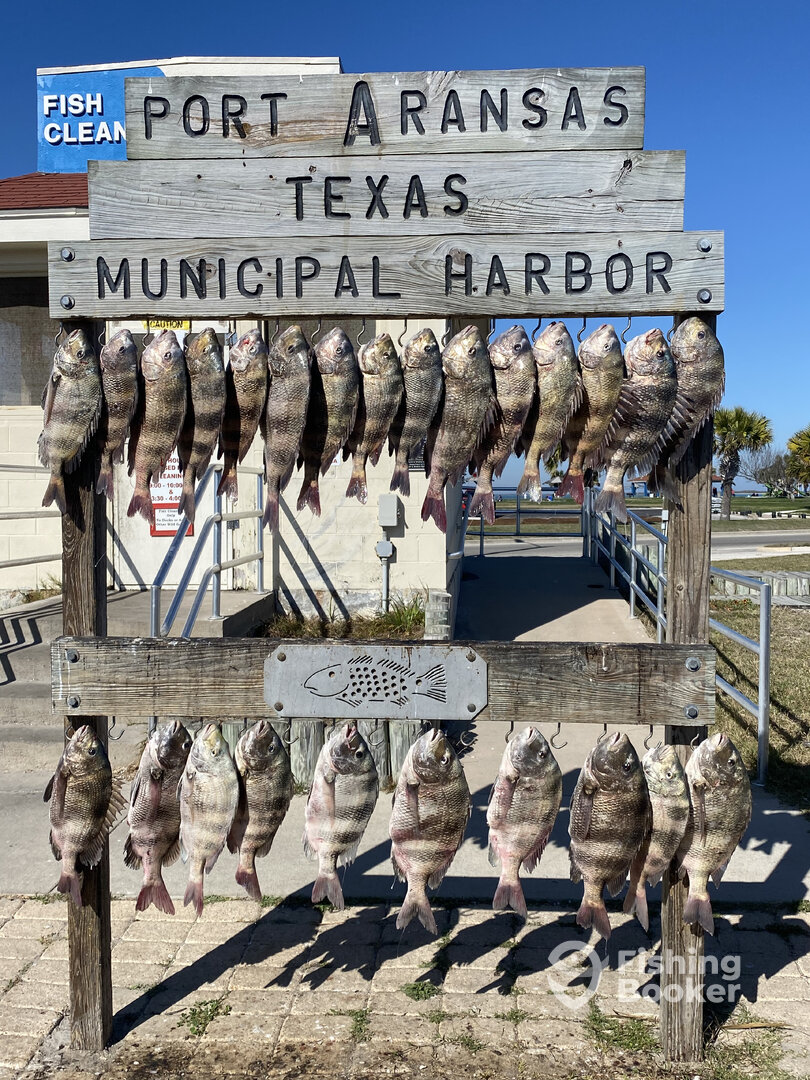 Port Aransas Report Photo 0