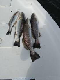 West Palm Beach Report Photo 1