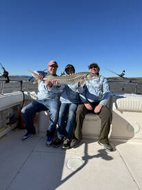 LOOKING FOR AT LEAST ONE ANGLER 3/6