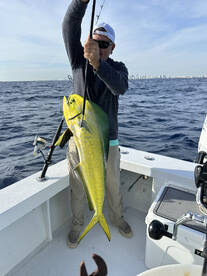 Two sails and a big mahi!