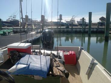 Chincoteague Report Photo 2