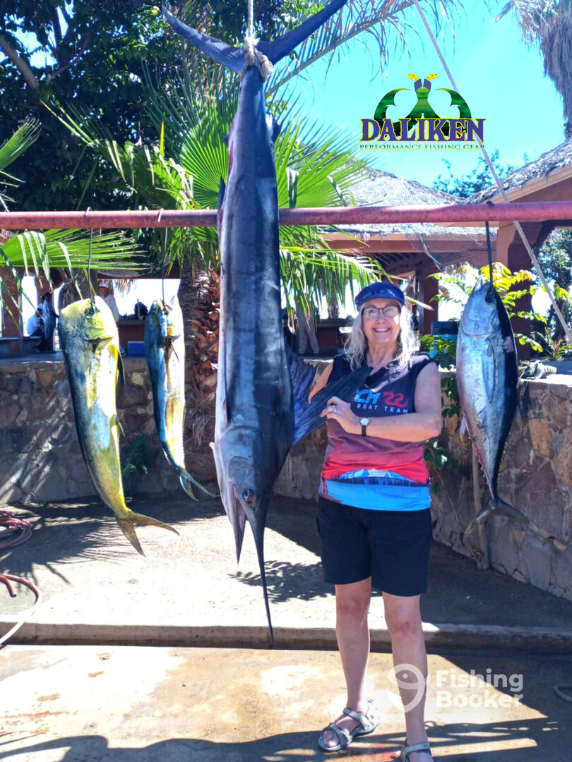 San Jose del Cabo Report Photo 0