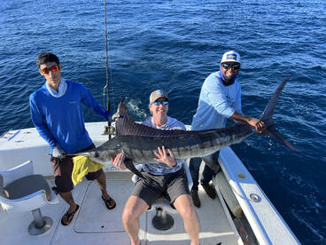Cabo San Lucas Report Photo 2
