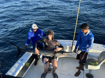 excellent day of fishing 3 marlin releas