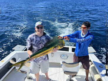 Cabo San Lucas Report Photo 1