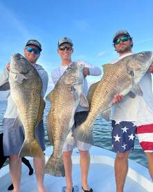 Big Fish Follow Warmer Waters Up The Coa