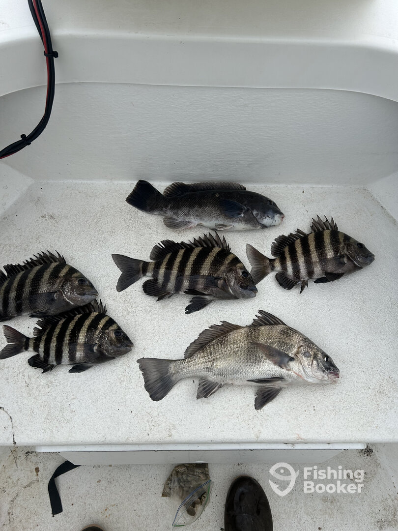 Nags Head Report Photo 0