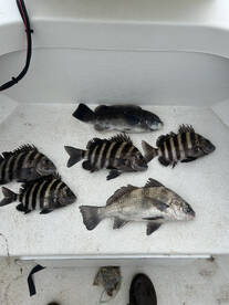 Is it daylight savings yet?