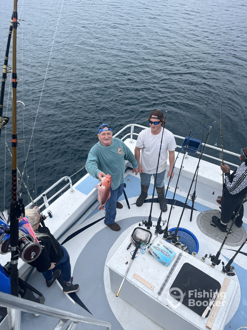 Orange Beach Report Photo 0