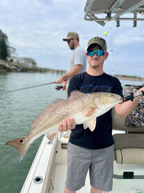 The “running of the bulls”! And some blu