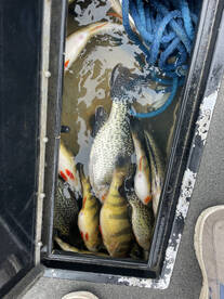 Harding Report Photo 2