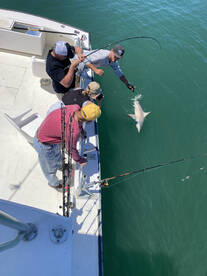 Nags Head Report Photo 2