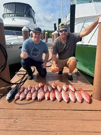 Dania Beach Report Photo 2