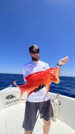 Non stop action trip