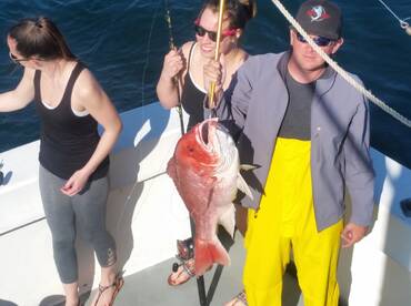 Orange Beach Report Photo 2