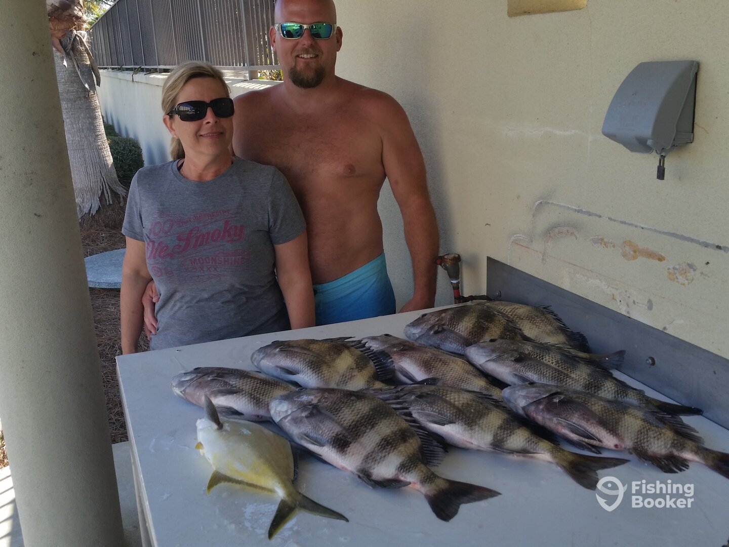 Some sheephead and pompano