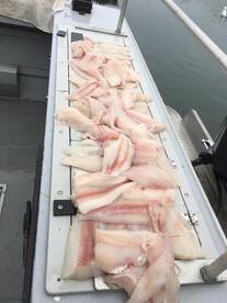 Coos Bay Report Photo 2