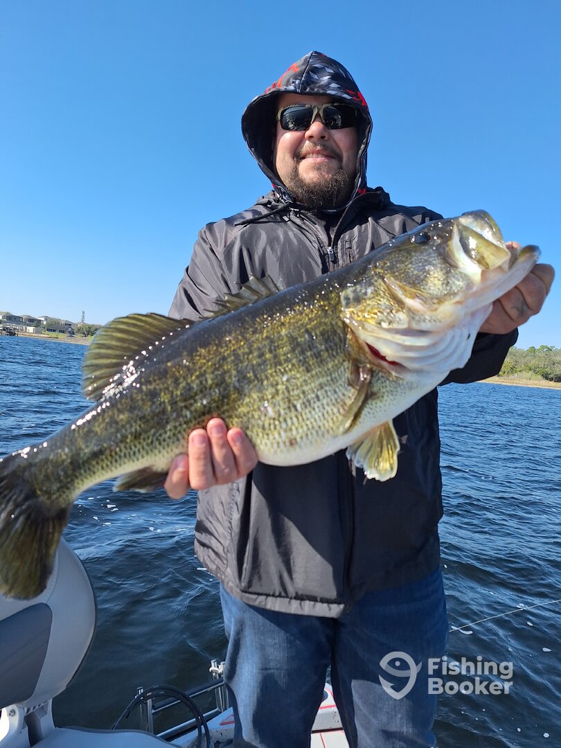10.30lbs