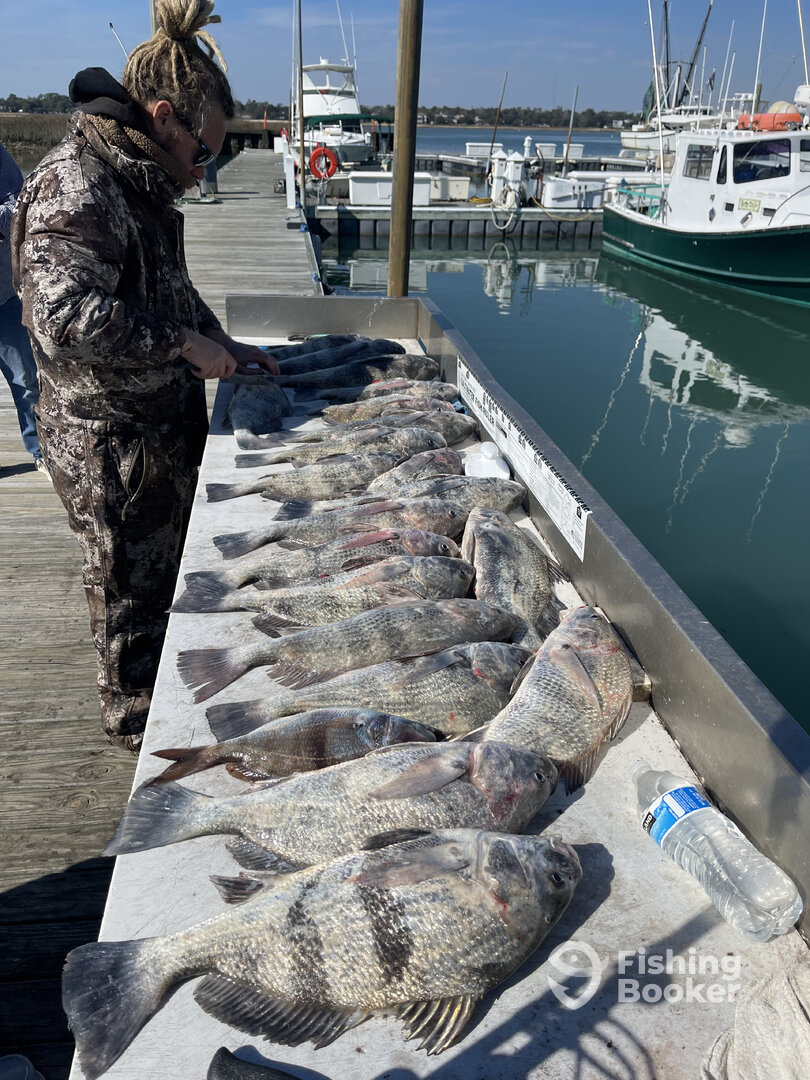 Murrells Inlet Report Photo 0