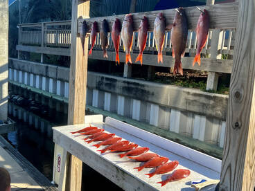 Spring break Time again