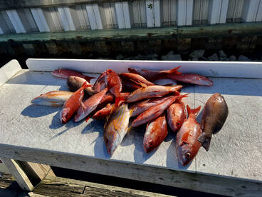 Destin Report Photo 2