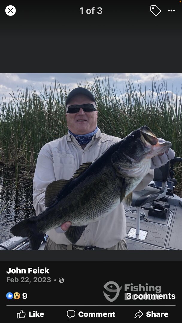 Palm Bay Report Photo 0