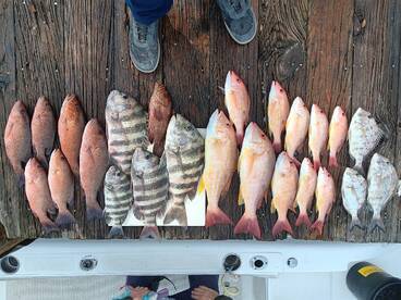 New Smyrna Beach Report Photo 2