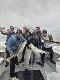 SPRING 2024 SEASON IS ALMOST HERE !!