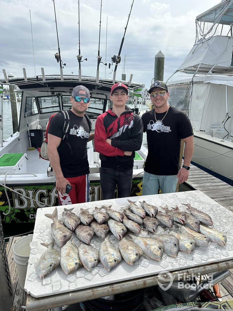 Clearwater Report Photo 0