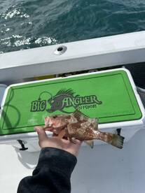Clearwater Report Photo 1