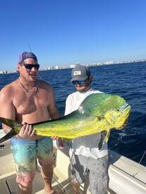 mahimahi popping up  