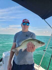 Snappers, grunt , and puffers o my 