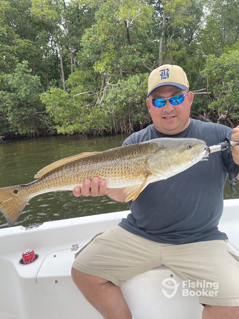 Cape Coral Report Photo 0