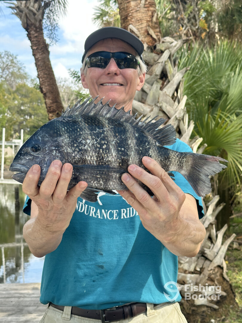 Crystal River Report Photo 0