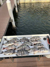 Tampa Report Photo 1