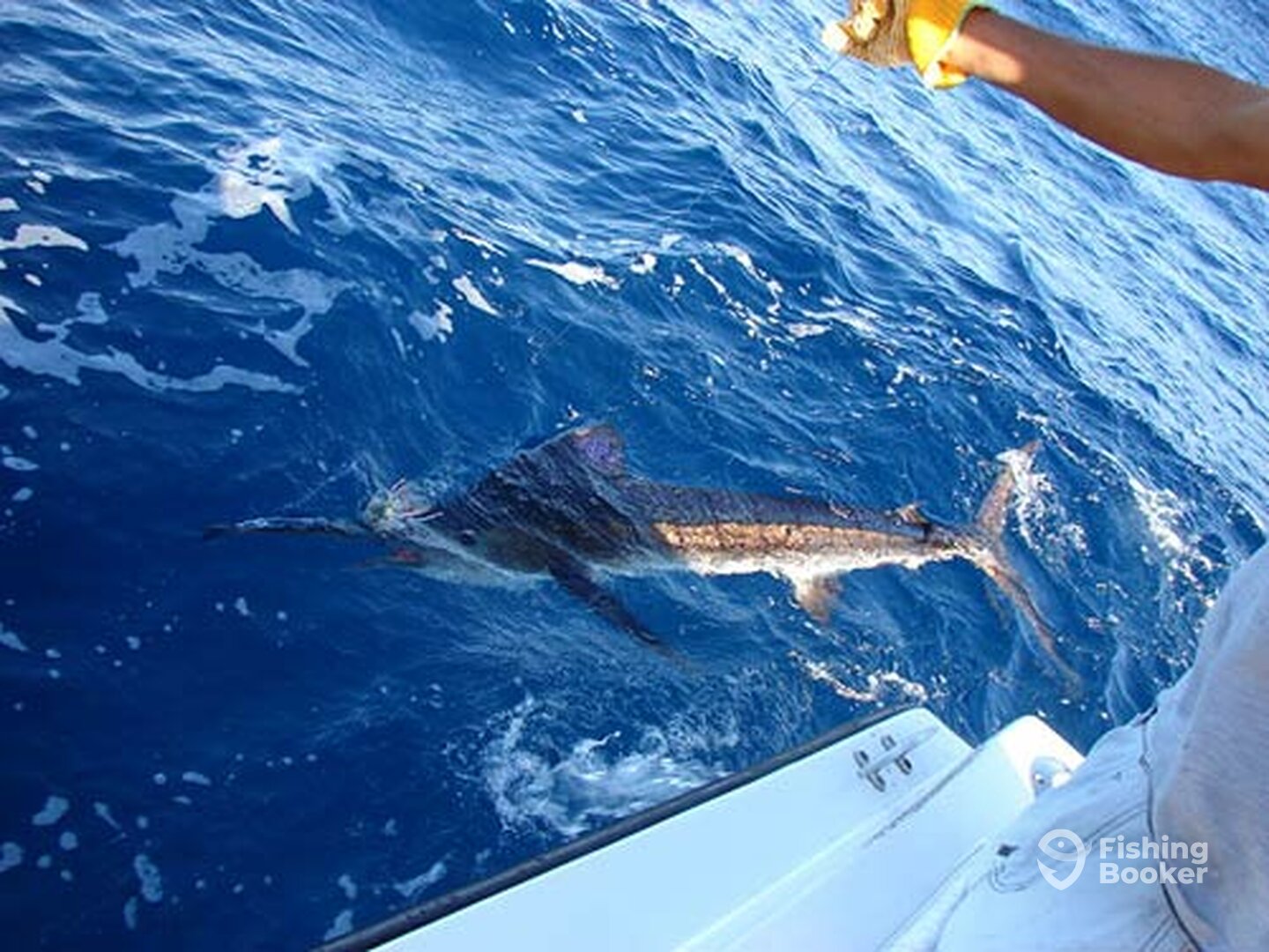 Cabo San Lucas Report Photo 0