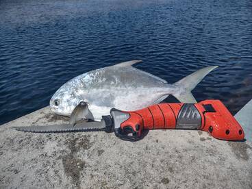 Yankeetown Report Photo 2