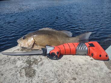 Yankeetown Report Photo 1