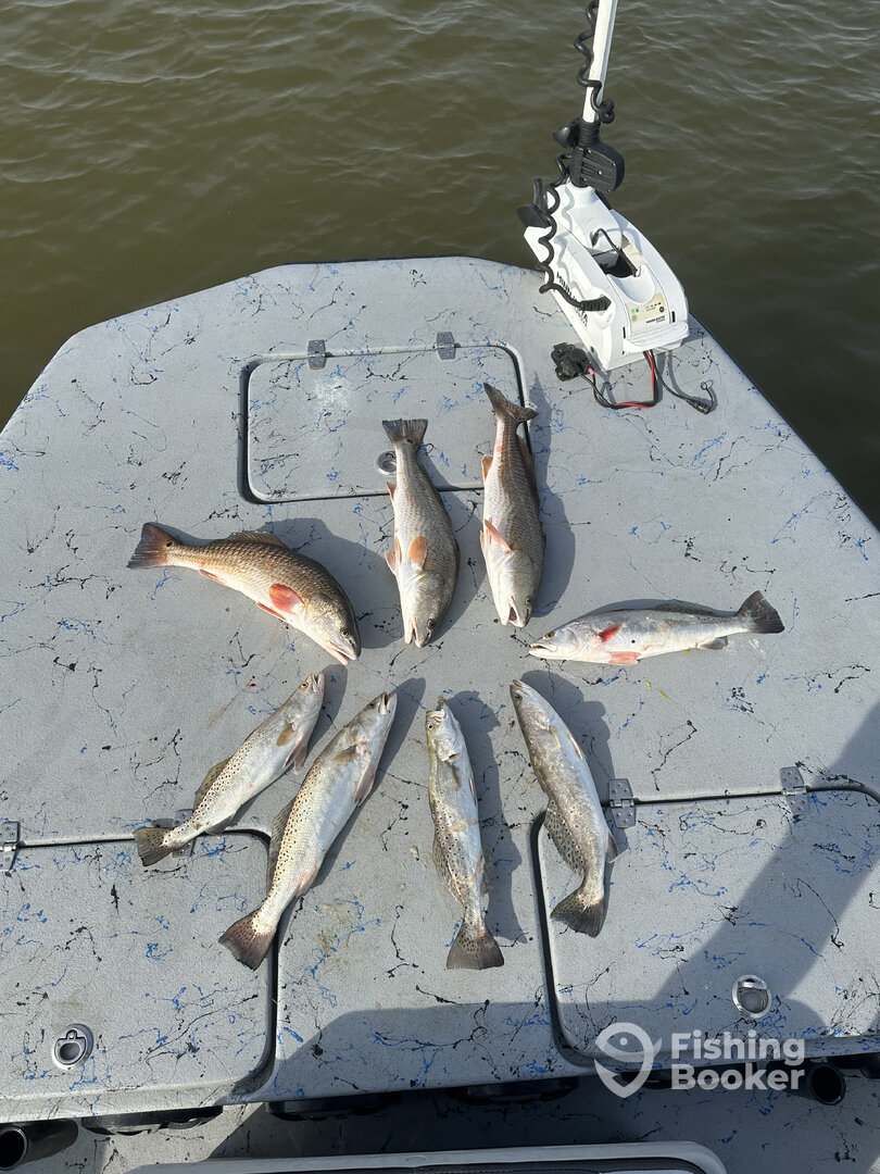 Aransas Pass Report Photo 0