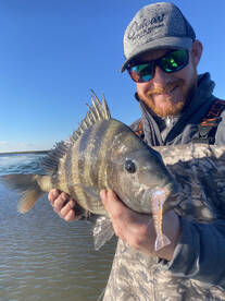 Pensacola Report Photo 2