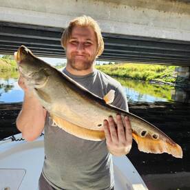 Delray Beach Report Photo 1