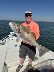 Black Drum