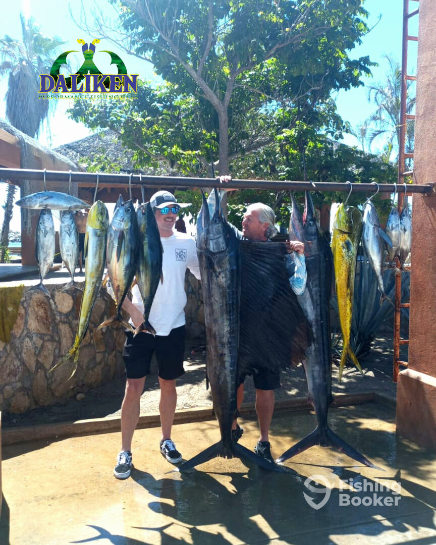 San Jose del Cabo Report Photo 0