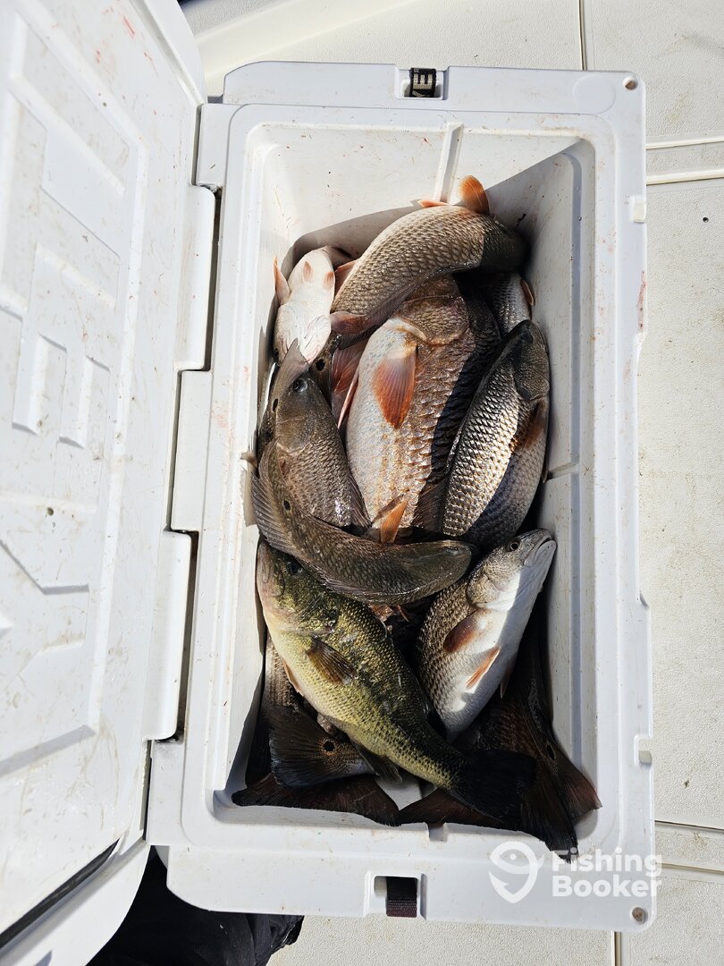 Slidell Report Photo 0