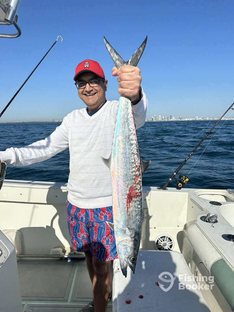 Miami Report Photo 0