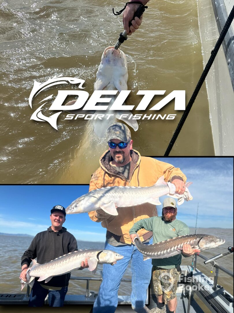 Pittsburg Report Photo 0