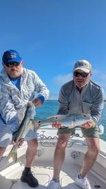 St. Petersburg Report Photo 1