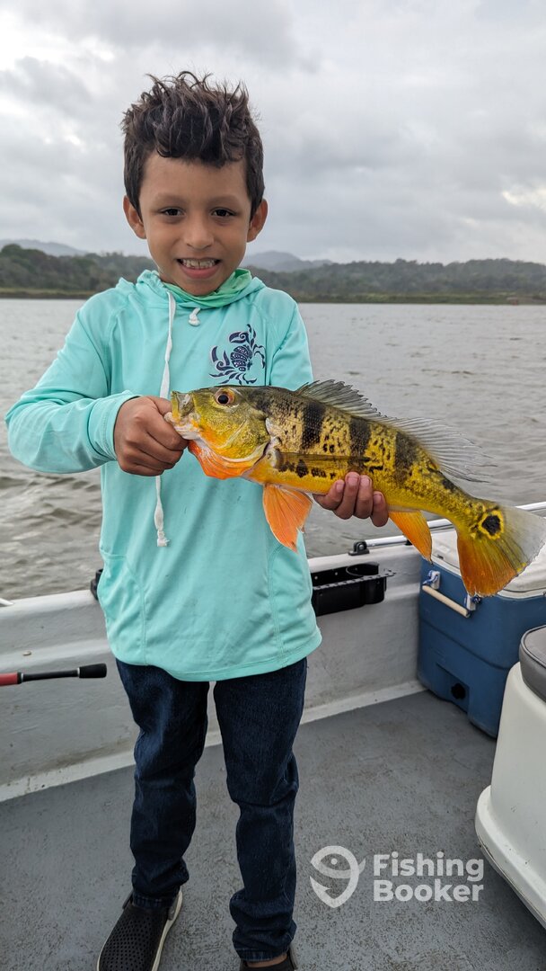 Gamboa Report Photo 0