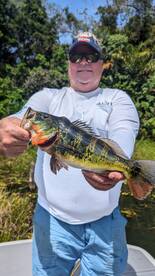 Gamboa Report Photo 2